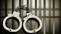arrested-6a8ff41d9512a-6a93d38481641.jpg