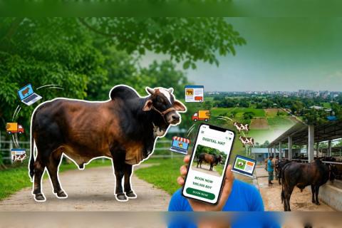 online-qurbani-cattle-market-birulia-booking-sales.jpg