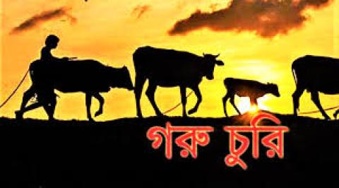 pohela-boishakh-cow-theft.jpg