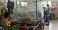 ডেঙ্গুতে এক দিনে ৯ মৃত্যু, এ বছর সর্বোচ্চ